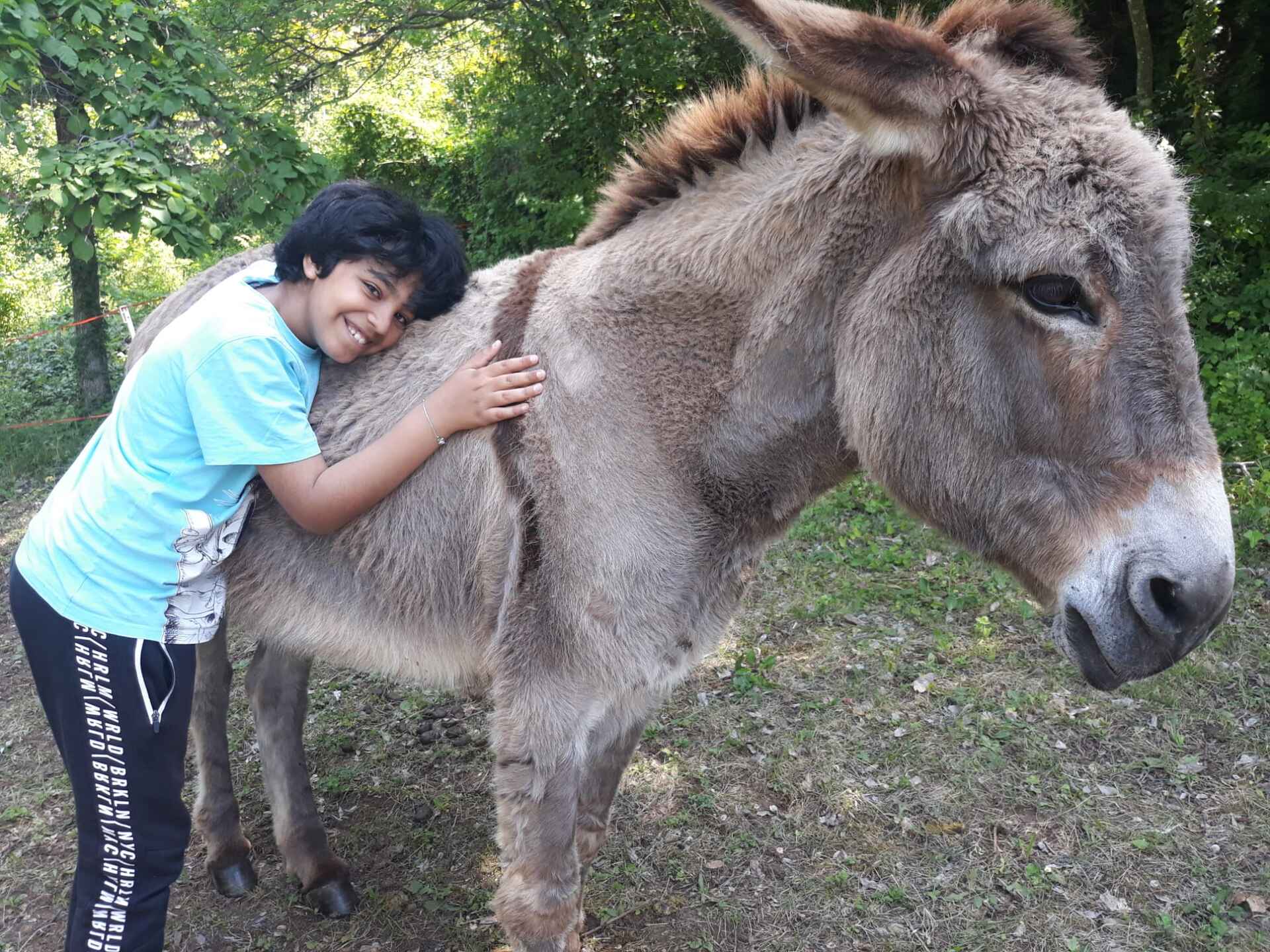 bambino e asino abbracciati