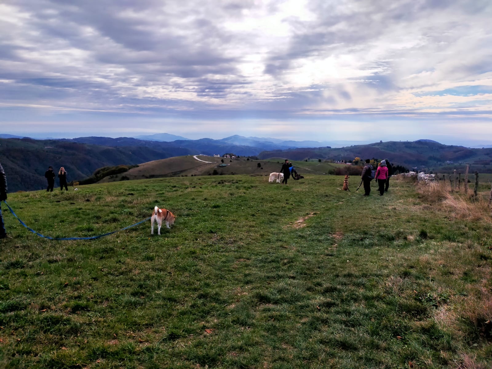 Attività con i cani in montagna